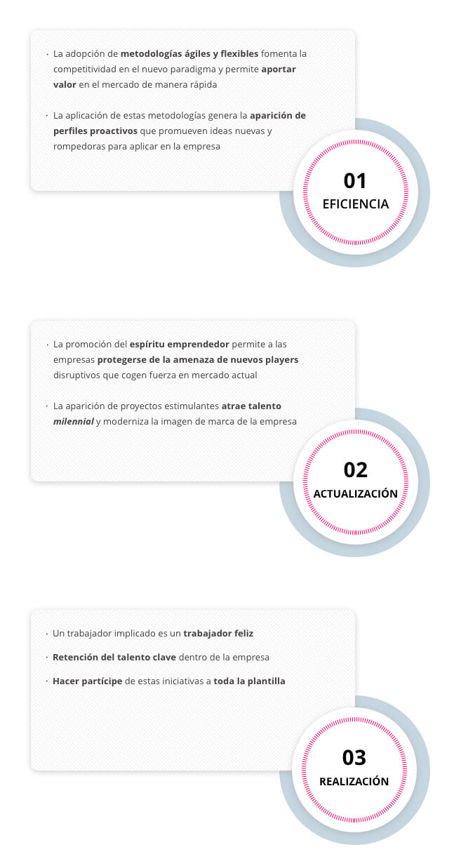 Fases implementación intraemprendimiento